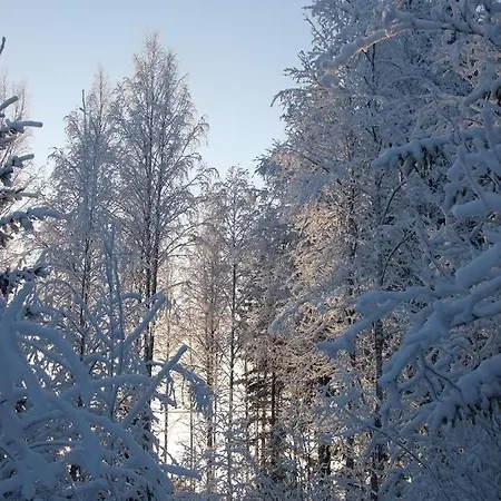Kottarainen Cottages 41 Loma-asunnot Savonranta